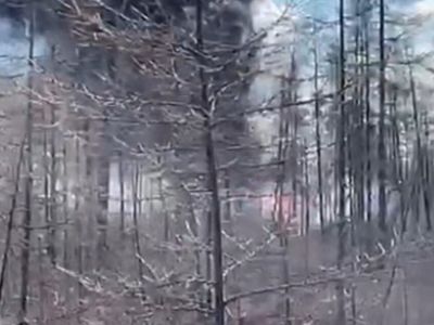 Появилось видео с места аварийной посадки Ан-2 в Томпонском районе
