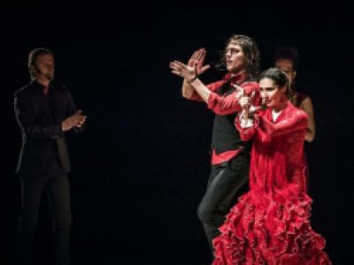 Flamenco Capriccios. Фламенко Каприччио