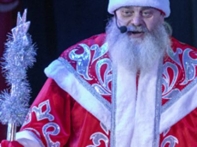 "Новогодняя котовасия"