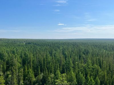Два лесных пожара действуют в Якутии