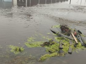 Уничтожен урожай и подтоплены дома: в Сунтарском районе из-за аномальных дождей введен режим ЧС