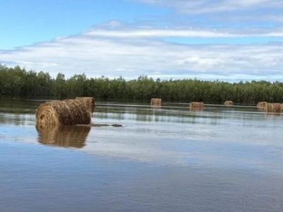 В Якутии ведут подсчет подтопленных сельхозугодий