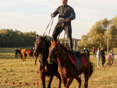 Фестиваль Дворянской охоты