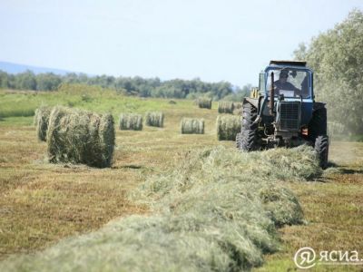 В Усть-Майском районе принимают меры по обеспечению аграриев топливом во время сенокоса 