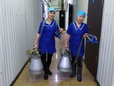 В Госдуме предложили смягчить условия получения субсидий для сельхозпроизводителей