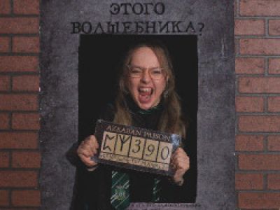Мир Гарри Поттера