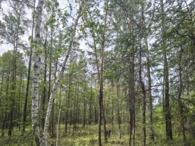 К поискам пропавшего в Вилюйском районе присоединились спасатели