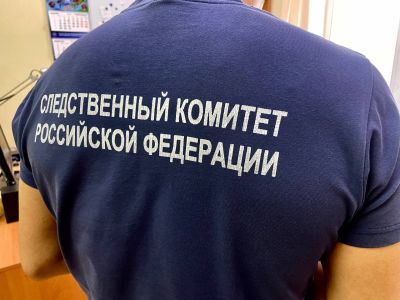 Бастрыкин поручил возбудить дело по факту отравления женщины и ребенка в Якутске