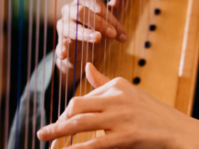 «Рождество в Ирландии и Шотландии. Орган, кельтская арфа, скрипка»