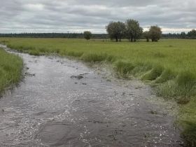 Уничтожен урожай и подтоплены дома: в Сунтарском районе из-за аномальных дождей введен режим ЧС