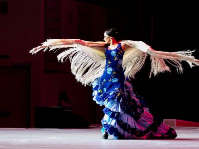 Flamenco Capriccios (Дом музыки)