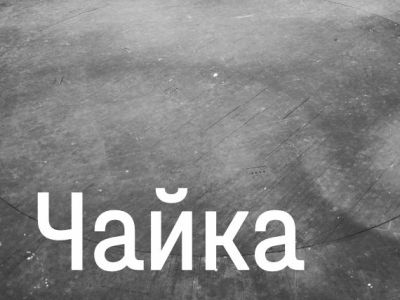Чайка