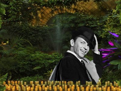 Магия свечей. Frank sinatra. Джаз в оранжерее