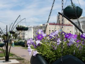В исправительной колонии изготовили цветочные конструкции для площади Орджоникидзе в Якутске