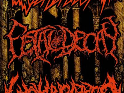 ESTHET METAL FEST II