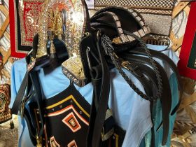 Якутяне участвуют в торжествах ко Дню лошади в Монголии