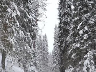 День в сердце Карелии: Рускеала и царство водопадов
