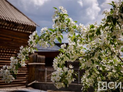 Выставка-ярмарка «Город Мастеров» пройдет в Якутске 19 и 20 июня