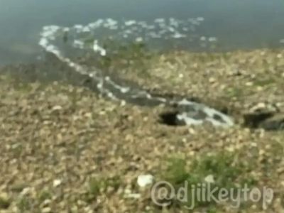 На реке Амге в Якутии обнаружили слив неизвестной жидкости