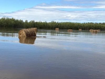 Дождевой паводок осложнил кормозаготовку в шести районах Якутии