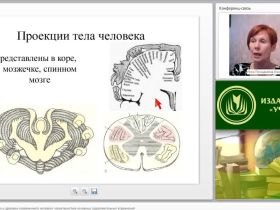 Международный вебинар "Двигательная активность и здоровье современного человека: характеристика основных оздоровительных упражнений"