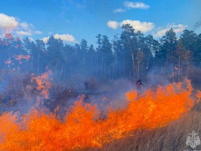 Пожар на кладбище произошел в Якутске