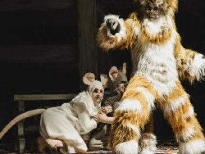 Все мыши любят сыр