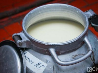 Более 27,5 тысячи тонн сырого молока заготовили в Якутии