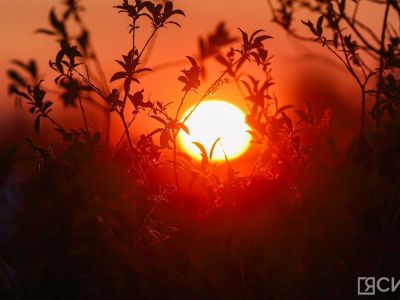 Вспышки класса X возможны на Солнце сегодня и завтра