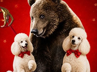Каракат-шоу