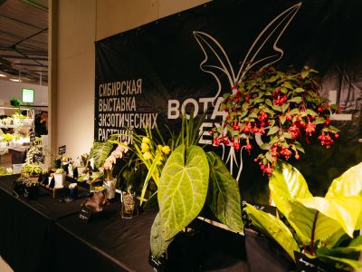 Botanical Expo (KLP)