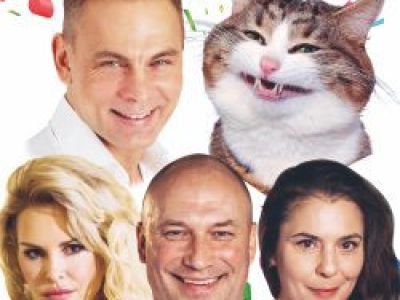 Три плюс кот