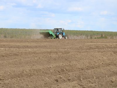 Зерновые культуры посеяны на более 10 тысячах гектарах в Якутии