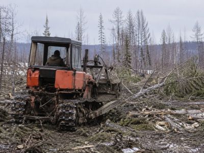 В Якутии завершено расследование гибели тракториста при расчистке участка