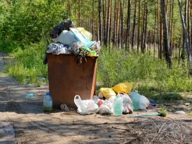 Дмитрий Садовников уволил руководителя МУП «Ритуал» после проверки кладбищ в Якутске