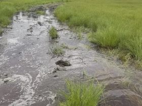 Уничтожен урожай и подтоплены дома: в Сунтарском районе из-за аномальных дождей введен режим ЧС