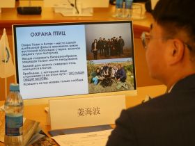 Исследователи из Китая подвели итоги наблюдения за гнездованием стерхов в Якутии