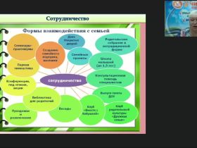 Вебинар "Особенности содержания и методов взаимодействия дефектолога с семьей, воспитывающей ребенка с нарушениями в развитии"