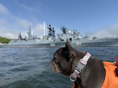 Увидеть мосты и маяки Владивостока с катера (мосты и маяки владивостока: обзорная экскурсия на катере)