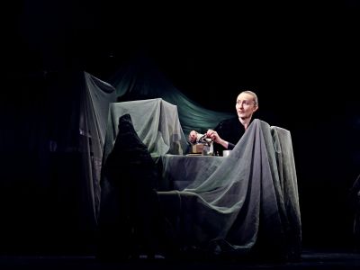 Журавли (Театр драмы им. Горького)