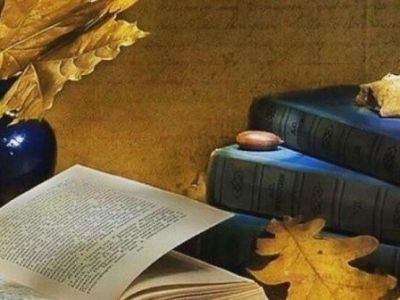 Удивительный мир поэзии. Литературное путешествие