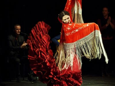 Фламенко на крыше: страсть на высоте