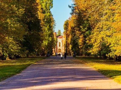 Царское Село с посещением Александровского дворца (Экскурсия в Александровский дворец (Царское Село))