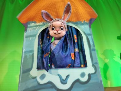 Бука (Театр кукол)