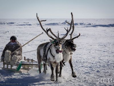Льготы и меры поддержки для КМНС в Якутии