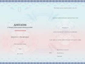 Педагогика и методика преподавания русского языка и литературы. Присваивается квалификация «Учитель русского языка и литературы» (252 ч.)