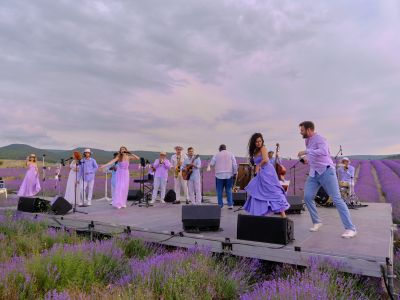 Джаз и латина в Лавандовых полях (Лавандовые поля TeaRa (Красный Мак))