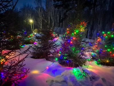 Ёлки-палки, Новый год! (Загородный лагерь «Огонёк»)