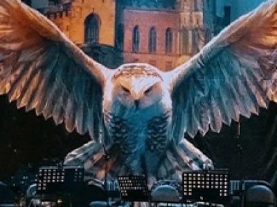Harry Potter. Magic Music