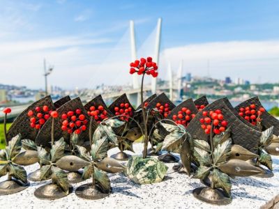 Журналисты из Якутии стали победителями в экологическом конкурсе «Живая тайга» по Дальнему Востоку